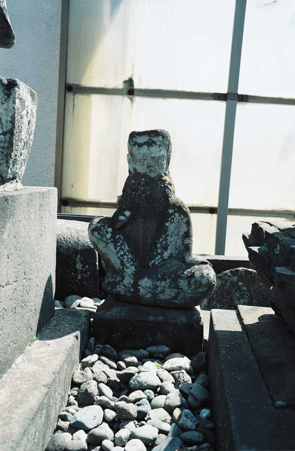 SHINTARO HASHIMOTO PHOTO $B66K\?5B@O:(B