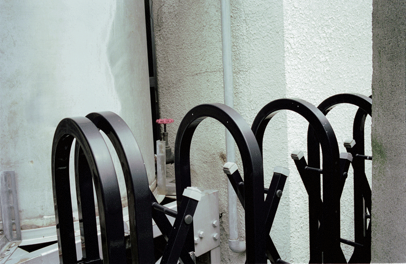 SHINTARO HASHIMOTO PHOTO $B66K\?5B@O:(B